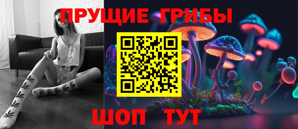 Псилоцибиновые грибы Psilocybine cubensis Курчатов