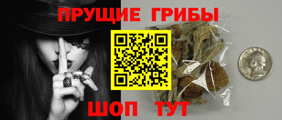Курчатов  Псилоцибиновые грибы GOLDEN TEACHER  Вход с VPN 